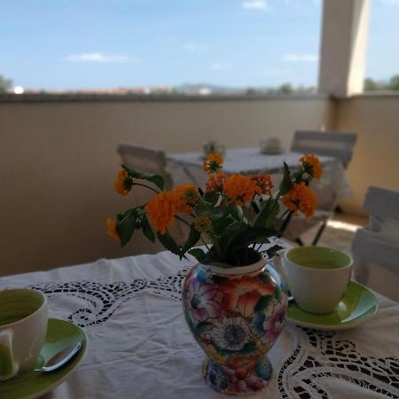 La Casa Dei Fenicotteri Bed and Breakfast Olbia Eksteriør billede